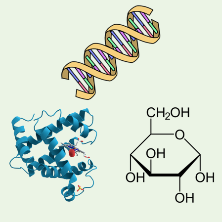 Functional molecules